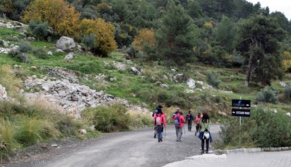 Hiking. Campaign.Backpack tourism in pine forest. Hike along the route of the Lycian trail.  Fethiye. Turkey. 9.12.18