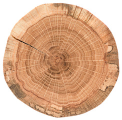 Piece of circular wood stump with cracks and tree growth rings. Oak tree slice texture isolated on...