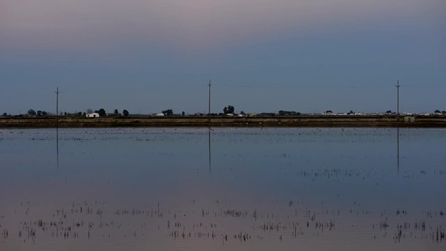 Sunset in the ebro delta next to the coast