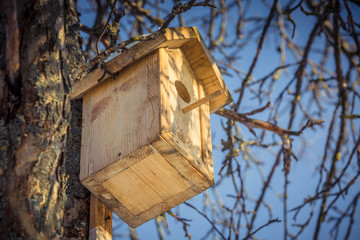 Birdhouse in a tree in winter