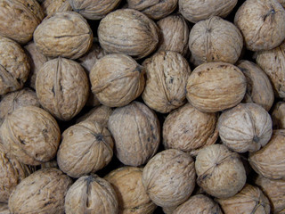 Walnuts. Macro photography