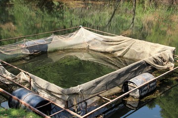 Fototapeta na wymiar Swimming pool on the lake in Turkey, used for breeding trout. 