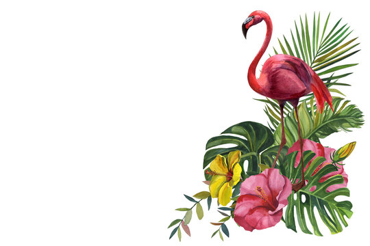 Watercolor tropical wildlife, flamingo bird, seamless pattern. Hand Drawn jungle nature, flowers illustration. Print for textile, cloth, wallpaper, scrapbooking