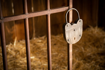 Padlock on an old jail door