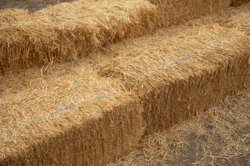 Bales of hay