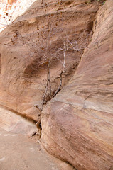 Petra, Jordanien