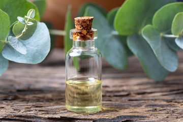 A bottle of essential oil with fresh eucalyptus twigs