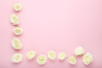 Fototapeta na wymiar White rose flowers on pink background
