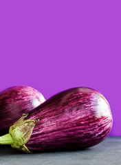 Ripe purple eggplant on violet black background. Organic vegetable with beautiful striped pattern. Copy space