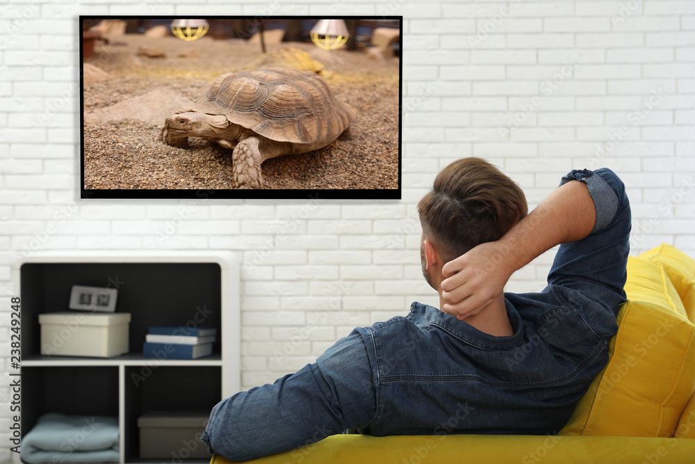 Poster Young man watching TV on sofa at home