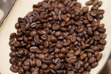 coffee beans on wooden background