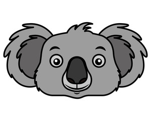 koala face australian wildlife white background