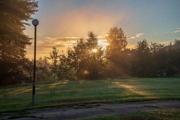 beautiful morning sun light shining through the trees on the road, sun rays