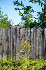 Fototapeta premium rusty barbed wire on top of old wooden fence