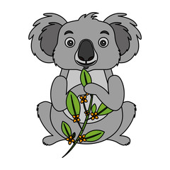 koala eating branch eucalyptus