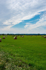 rolls of hay in green field under blue sky