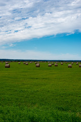 rolls of hay in green field under blue sky