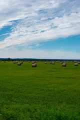 rolls of hay in green field under blue sky