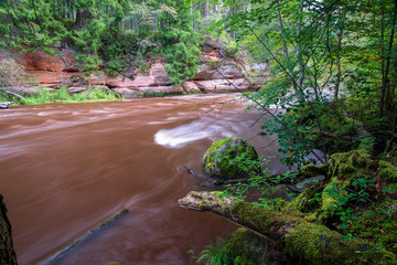 fast river in forest