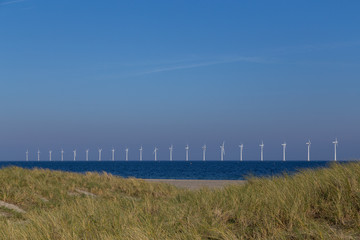Fototapeta premium Offshore wind power plants and sand dunes