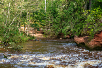 beautiful sandstone cliffs on the shores of river Amata in Latvia