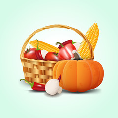 Basket of vegetables. The harvest of pumpkins, peppers, mushroom, corn, pepper