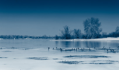 Winter river landscape