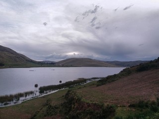  cultivation near green grass and lagoon, cloudy sky background, location acomayo, cusco, peru.