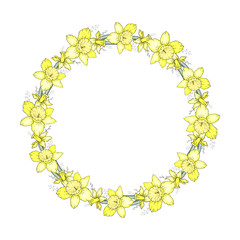 Round wreath with hand-drawn bright yellow narcissuses and mimosas and branches isolated on white background. Circle frame with space