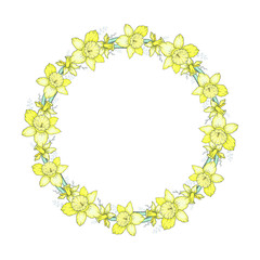 Vector round wreath with hand-drawn bright yellow narcissuses and mimosas and branches isolated on white background. Circle frame with space