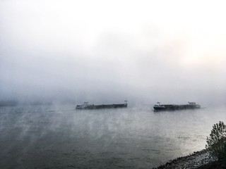 Rhein im Nebel