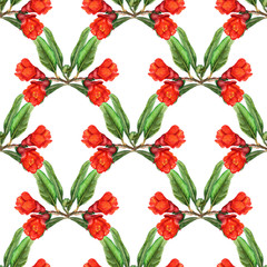 Seamless pattern with flowers of pomegranate