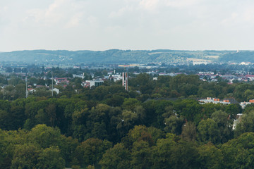 Views of a forest near to bavarian city of Landshut in Germany.