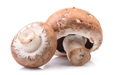 Champignon mushrooms on a white background