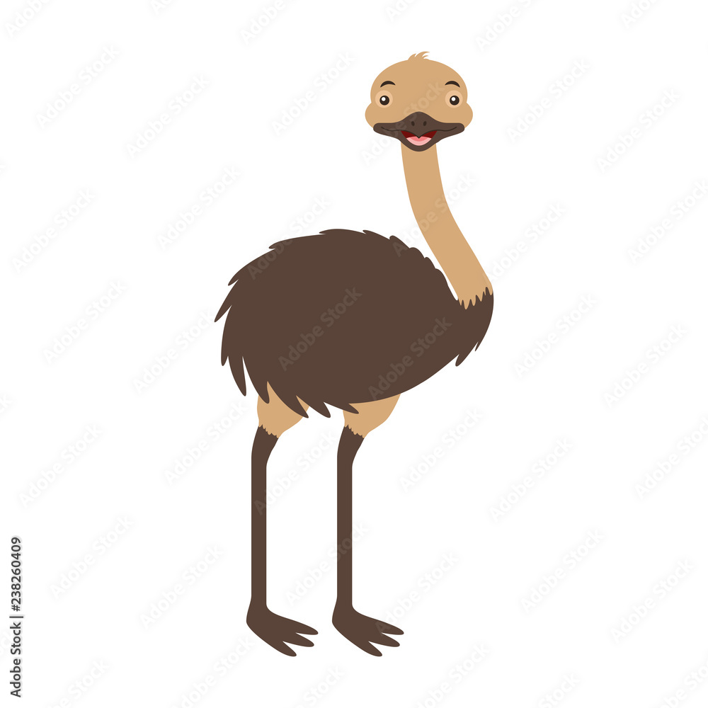 Sticker emu australian fauna on withe background