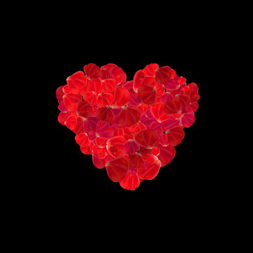Heart made from red rose petals isolated on dark background. Decoration elements for fashion, modern and glamour image. Valentine's day and wedding concept. Vector image