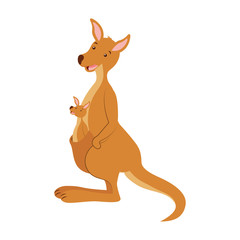 kangarro and baby australian wildlife