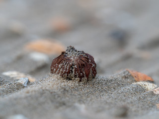 Kwade hoek, Goedereede
