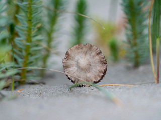 Kwade hoek, Goedereede