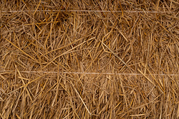 rice straw pinned by rope for background and texture.