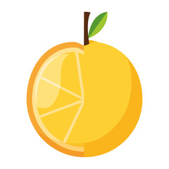 orange fruit on white background