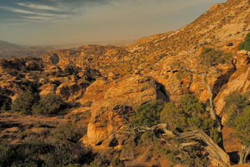 Wadi Dana Reserve typical landscape. Wadi Dana National Park. Jordan