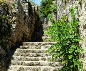 Isolated stone, stepped footpath rising past stone building and wall, with wildflowers growing, set in sunshine on hillside with natural shadows. Lopud, Croatia