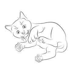 Vector illustration. Sketch of a kitten