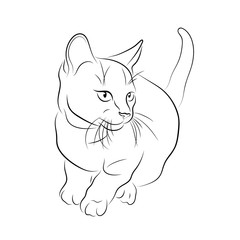 Vector illustration. Sketch of a domestic kitten