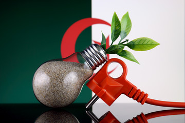 Plug, plant growing inside the light bulb and Algeria Flag. Green eco renewable energy concept.