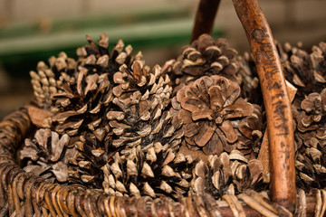 bumps in the basket