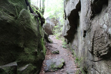 photo landscape of forest and stones on the mountain