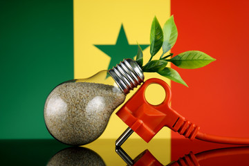 Plug, plant growing inside the light bulb and Senegal Flag. Green eco renewable energy concept.