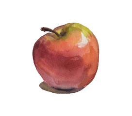 watercolor red apple on white background